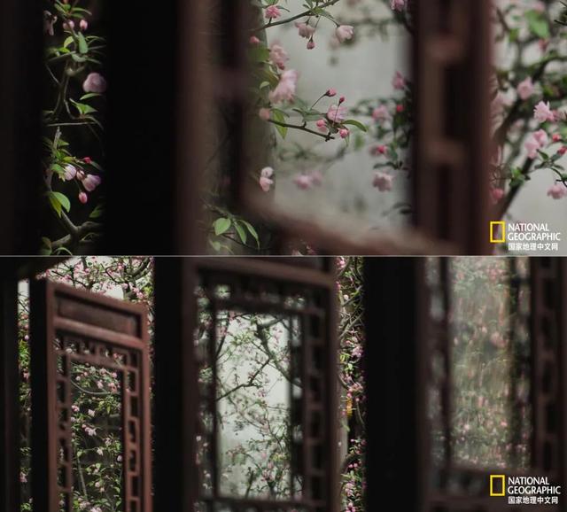 ��������԰�֣��˿�ֻ������