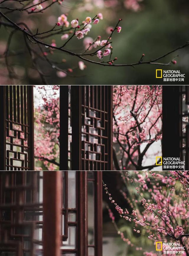 ��������԰�֣��˿�ֻ������