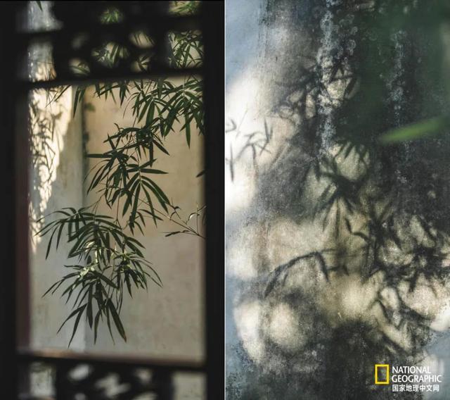 ��������԰�֣��˿�ֻ������