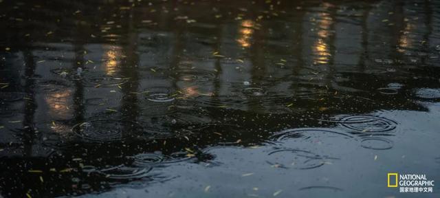 ��������԰�֣��˿�ֻ������