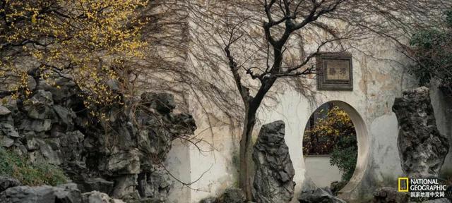 苏州所有园林,此刻只属于你