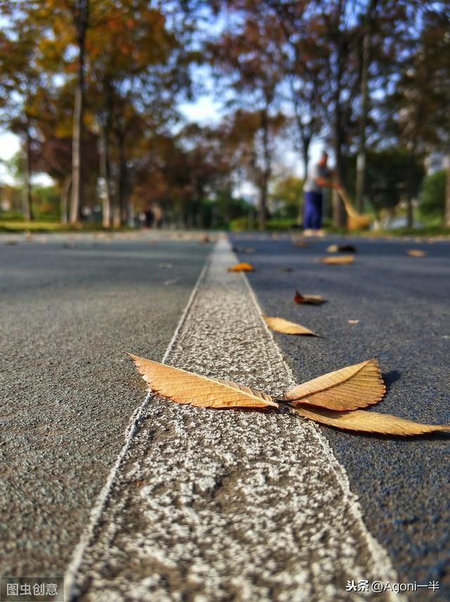 15����ͼ���ɣ������Զ���