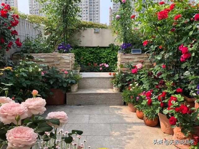 ������1��ʱ�䣬���Լ�¥�������һ������¶̨��԰