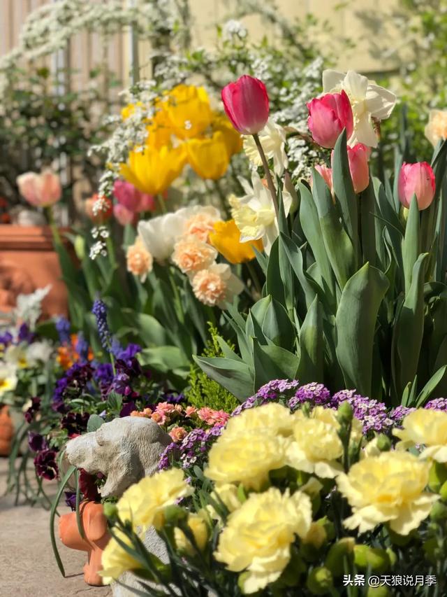 ������1��ʱ�䣬���Լ�¥�������һ������¶̨��԰