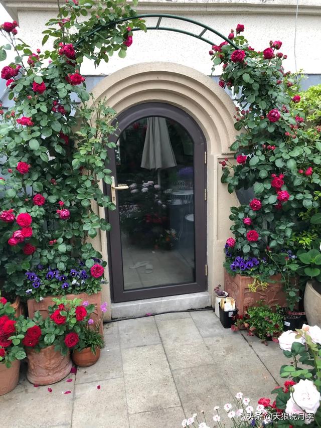 ������1��ʱ�䣬���Լ�¥�������һ������¶̨��԰