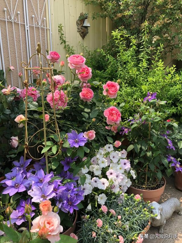 ������1��ʱ�䣬���Լ�¥�������һ������¶̨��԰