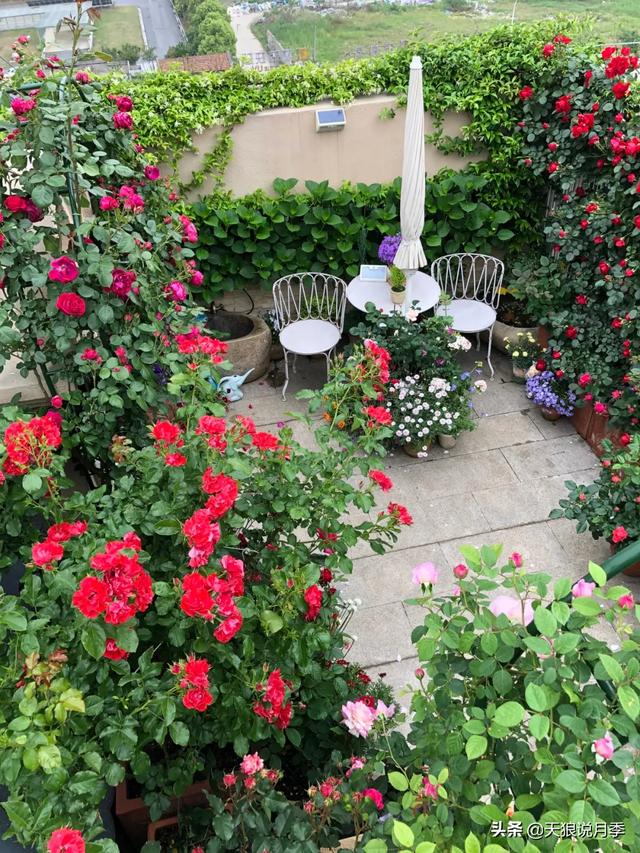 ������1��ʱ�䣬���Լ�¥�������һ������¶̨��԰