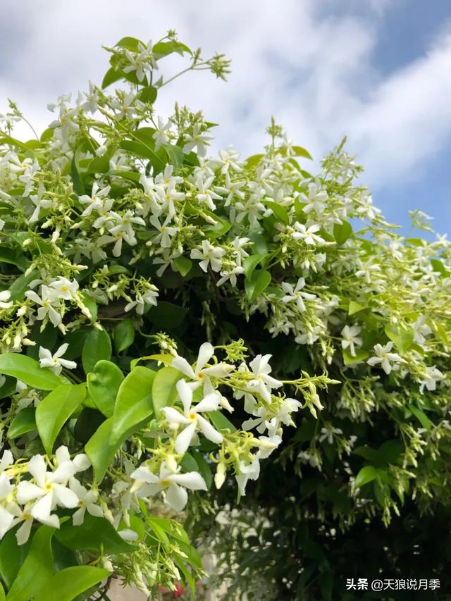 ������1��ʱ�䣬���Լ�¥�������һ������¶̨��԰