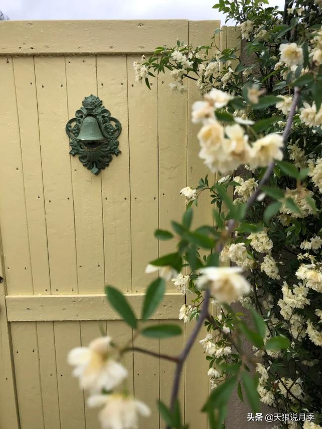 ������1��ʱ�䣬���Լ�¥�������һ������¶̨��԰