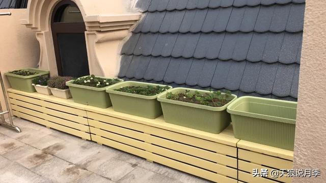 ������1��ʱ�䣬���Լ�¥�������һ������¶̨��԰