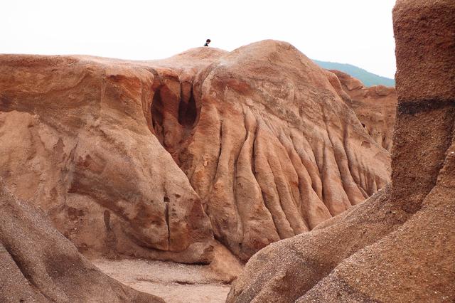 �ܴ壺����ŷ��һ���Ͼ����ŵ���ò