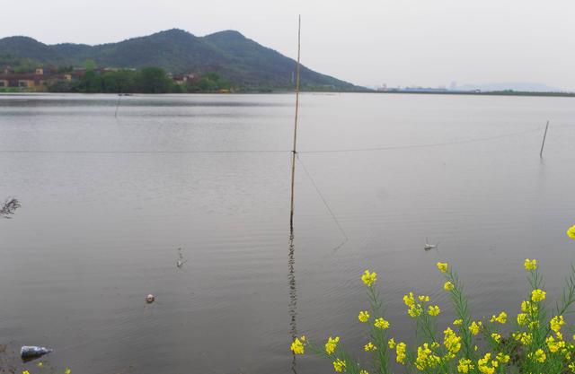 �ܴ壺����ŷ��һ���Ͼ����ŵ���ò