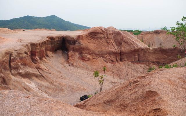 �ܴ壺����ŷ��һ���Ͼ����ŵ���ò