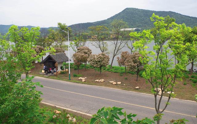 �ܴ壺����ŷ��һ���Ͼ����ŵ���ò