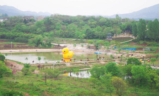 �ܴ壺����ŷ��һ���Ͼ����ŵ���ò