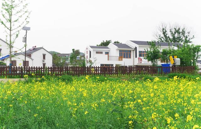 �ܴ壺����ŷ��һ���Ͼ����ŵ���ò