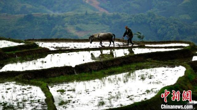 �����������续