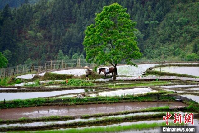 �����������续