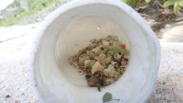 ����ū���ľ�з���Ҳ������ǣ�ֻ�ñ��˵ģ�Ҫô��Ҫô����