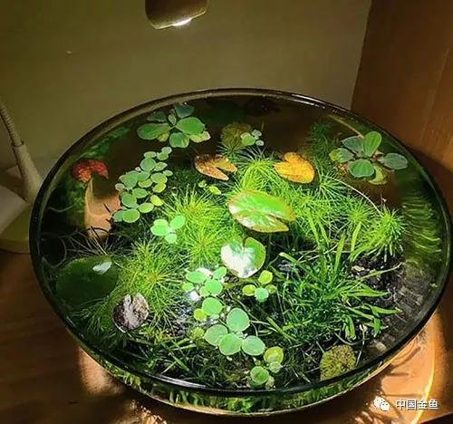 ����û����ϲ���ģ���������һ����