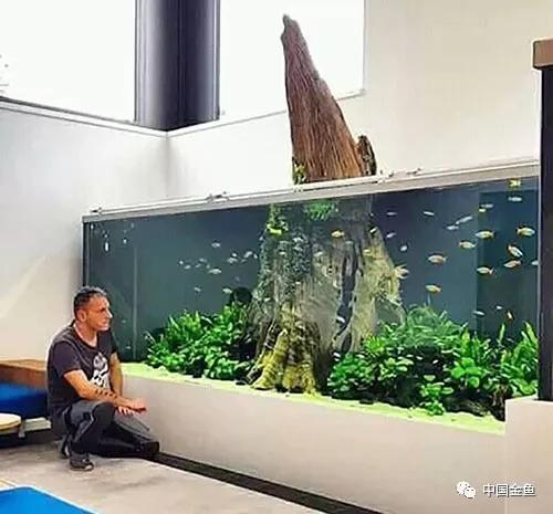 ����û����ϲ���ģ���������һ����