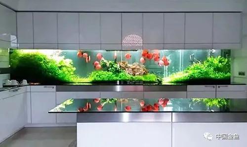 ����û����ϲ���ģ���������һ����