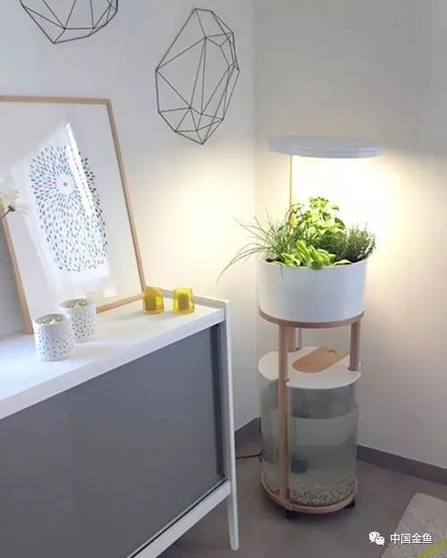 ����û����ϲ���ģ���������һ����