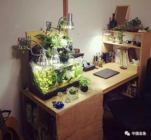 ����û����ϲ���ģ���������һ����