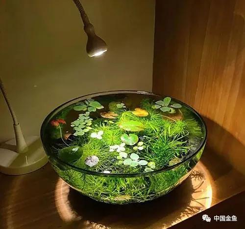 ����û����ϲ���ģ���������һ����