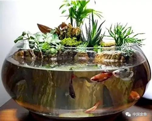 ����û����ϲ���ģ���������һ����