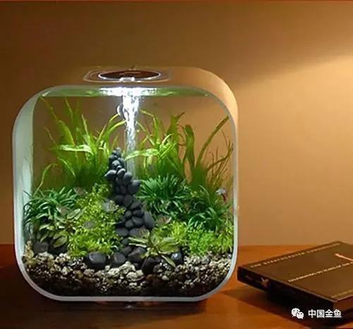 ����û����ϲ���ģ���������һ����