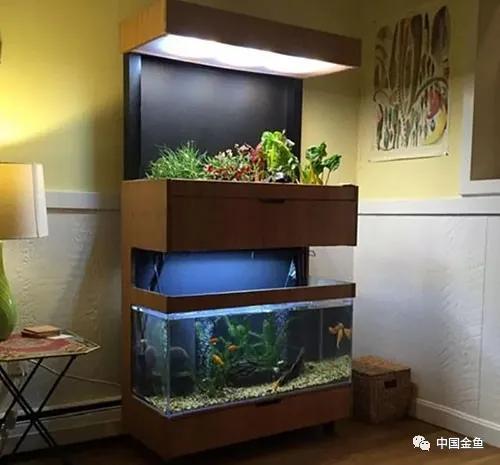 ����û����ϲ���ģ���������һ����