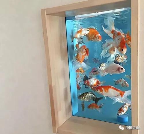 ����û����ϲ���ģ���������һ����