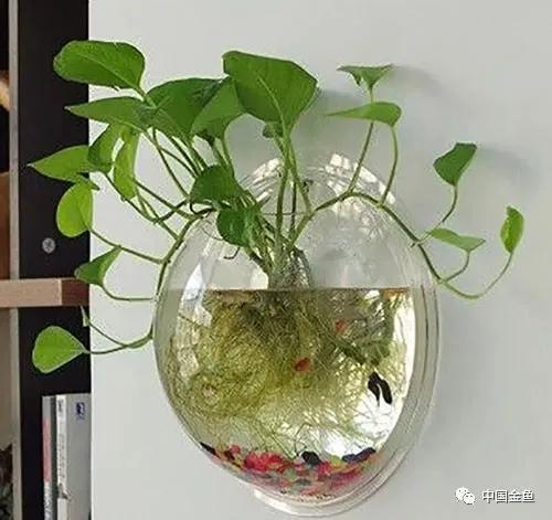 ����û����ϲ���ģ���������һ����