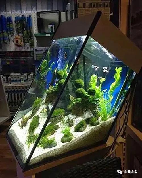 ����û����ϲ���ģ���������һ����