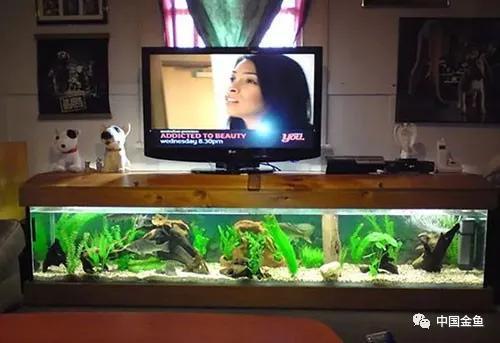 ����û����ϲ���ģ���������һ����