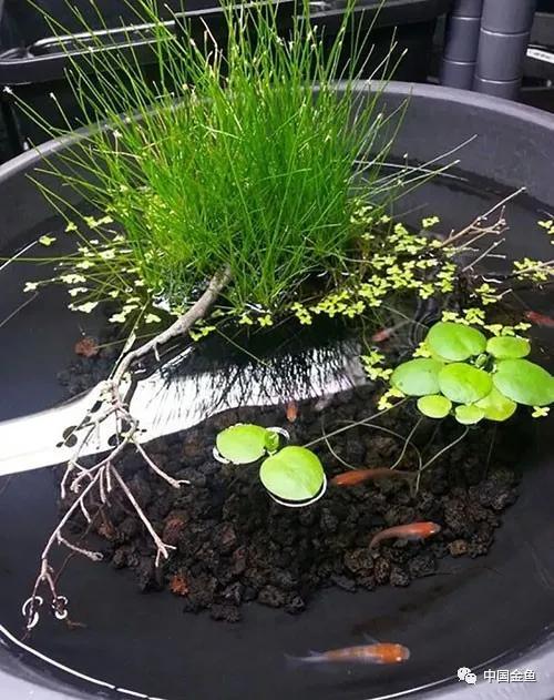 ����û����ϲ���ģ���������һ����