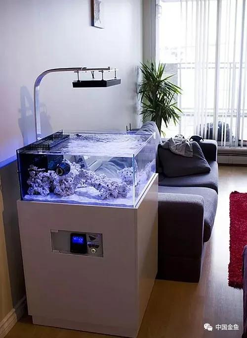 ����û����ϲ���ģ���������һ����