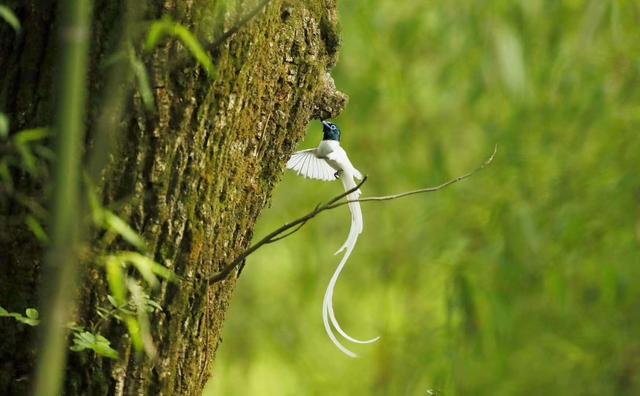 ̫�����ˣ���Ϫ���������ӡ��ٴ�������