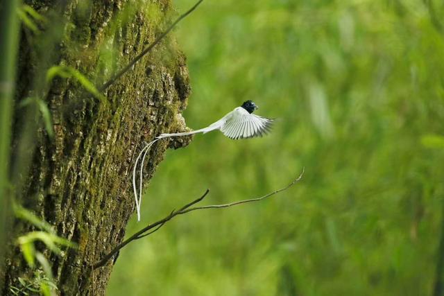 ̫�����ˣ���Ϫ���������ӡ��ٴ�������