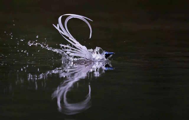 ̫�����ˣ���Ϫ���������ӡ��ٴ�������