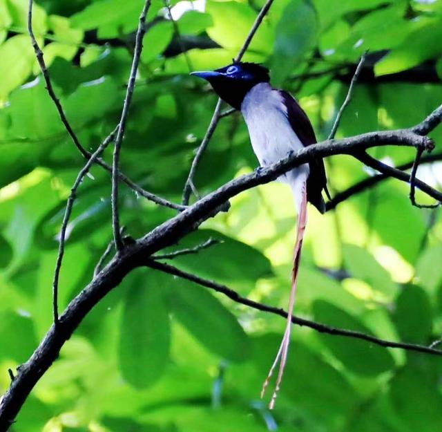 ̫�����ˣ���Ϫ���������ӡ��ٴ�������