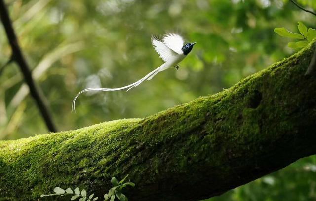 ̫�����ˣ���Ϫ���������ӡ��ٴ�������