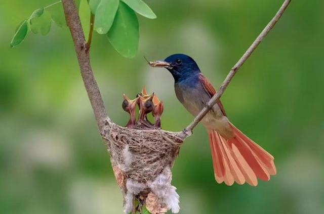 ̫�����ˣ���Ϫ���������ӡ��ٴ�������