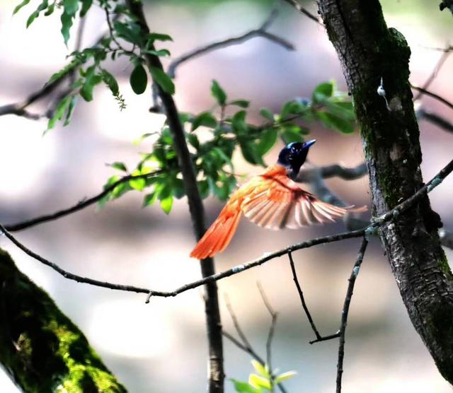 ̫�����ˣ���Ϫ���������ӡ��ٴ�������