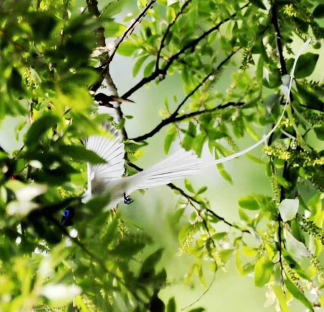 ̫�����ˣ���Ϫ���������ӡ��ٴ�������