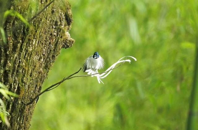 ̫�����ˣ���Ϫ���������ӡ��ٴ�������