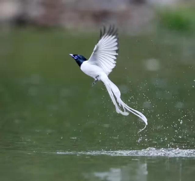 ̫�����ˣ���Ϫ���������ӡ��ٴ�������