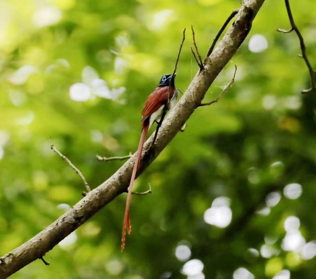 ̫�����ˣ���Ϫ���������ӡ��ٴ�������