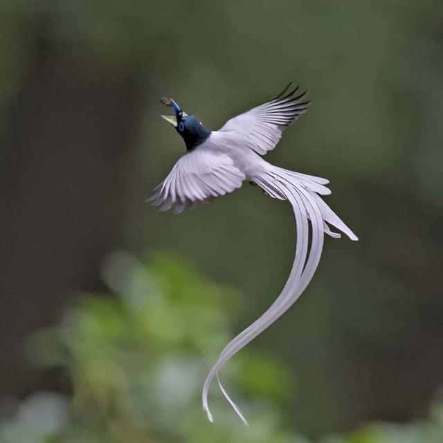 ̫�����ˣ���Ϫ���������ӡ��ٴ�������